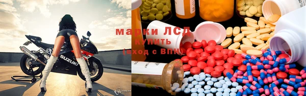 гидра Алексин